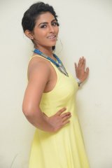  Kruthika Jayakumar Interview About Rojulu Marayi